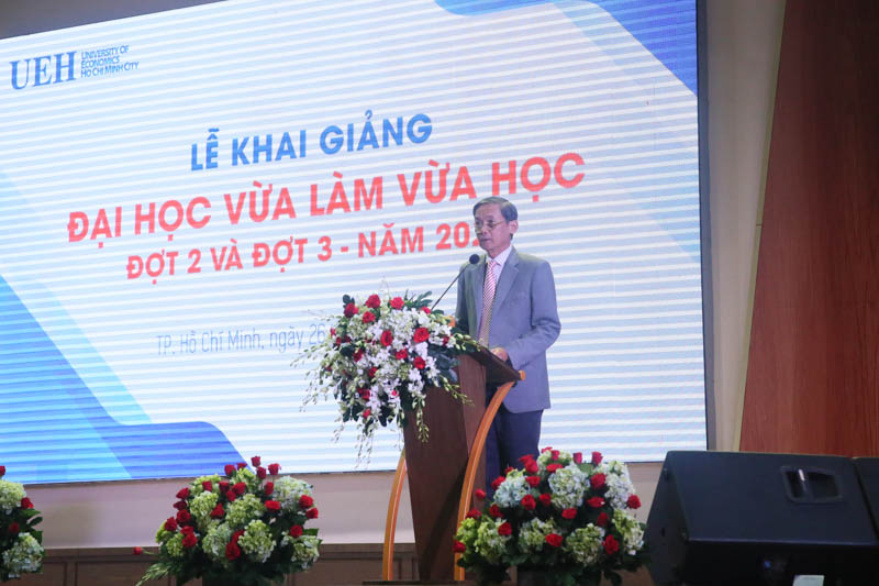 cá cược thể thao hul city